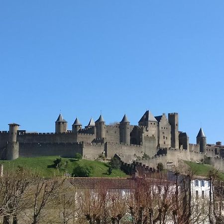 La Casa De Margarita Y Sisco, Villa Avec Piscine Carcassonne Esterno foto